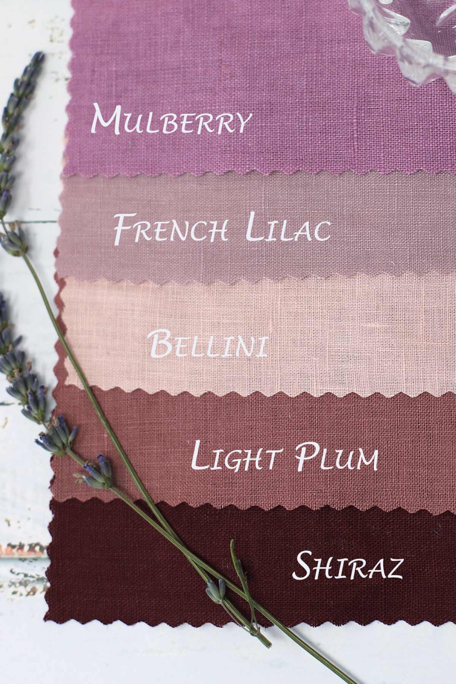 Mulberry