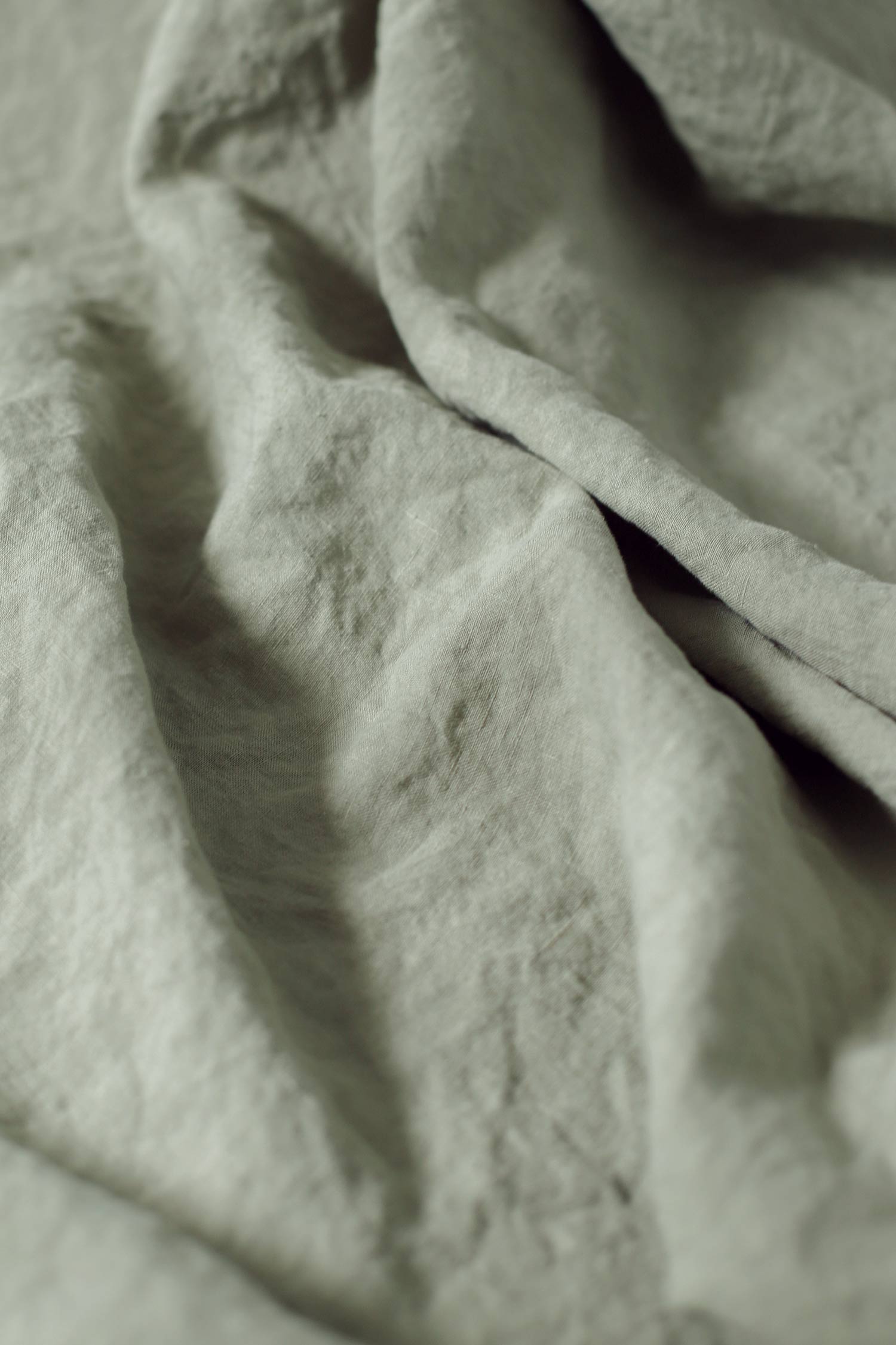 Willow Hemp