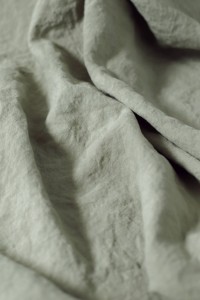 Willow Hemp